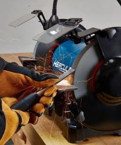 Best Pirce 🥰 HERCULES 8 in. Variable Speed Bench Grinder with LED Worklight 😉 -Outlet The Power Tool Hub Store 57285 W12